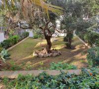 Vonkajšia záhrada v ubytovaní Apartamentos Mediterraneo
