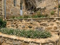 a stone wall with white flowers in front of a building at Gîte chez le Gaulois in Carsac-Aillac