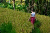 Kayumanis Ubud Private Villas & Spa thumbnail 4