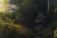 two huts in the middle of a forest with trees at Keemala in Kamala Beach