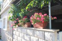 Vonkajšia záhrada v ubytovaní Apartment Ružica