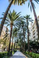 Zahrada ubytování Valencia Apartamentos Goya