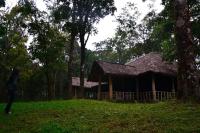 麦帕迪900 Woods Wayanad Eco Resort - A Sprawling Jungle Stay near Glass Bridge的站在田野房子前面的妇女