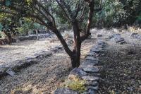 A garden outside Lemon Tree Eco-Retreat