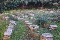 A garden outside Lemon Tree Eco-Retreat