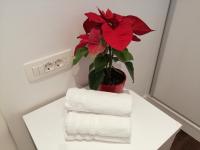 Plán poschodí v ubytovaní Apartment Petar