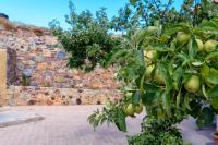 A garden outside Best View Mountain Villa