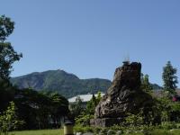 a rock with a plant on top of it at Feng Lin Homestay in Shuili