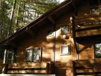 una cabaña de troncos en el bosque con árboles en Hayashi Pension, en Hakuba