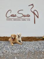 Domácí mazlíčci ubytovaní s hosty v ubytování Albergue Casa Sueño