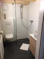 a bathroom with a shower and a toilet and a sink at Serviced Apartement Sonnleitner in Furth