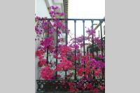 A garden outside MIRADOR DEL VALLE