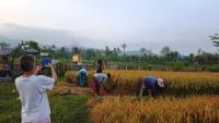 Umma Bali Menjangan Retreatの宿泊客