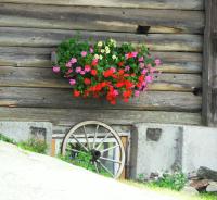 A garden outside Sattlehnerhof