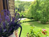 A garden outside Relax totale nel Bosco Lucca