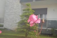 Vonkajšia záhrada v ubytovaní B&B La Rosa dei Venti