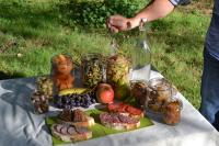 - une table avec une assiette de nourriture et une bouteille de vin dans l'établissement Le Domaine Des Anges, écolodge, à Thenay
