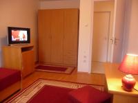 Televízia a/alebo spoločenská miestnosť v ubytovaní BALATON ART Guesthouse