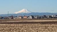 ホテルの近くで見られる自然の景観
