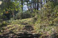 Vonkajšia záhrada v ubytovaní Il Giardino Secreto