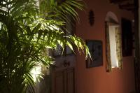 Vonkajšia záhrada v ubytovaní Casa Rural Cortijo del Zoco Bajo