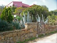 A garden outside Ferienhaus Panorama, San Teodoro, Isuledda
