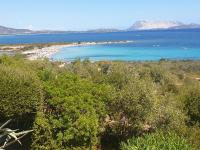 Táj Show holiday homes közelében