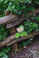 Jardín al aire libre en Esquíos - Apto. El Pajar