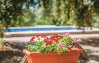 Zahrada ubytování InmoBooking Family House Holidays