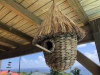 a hanging bird feeder with a straw roof at Gîte Maracudja vue sur mer in Capesterre-Belle-Eau