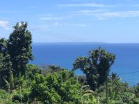 a group of trees with the ocean in the background at Gîte Maracudja vue sur mer in Capesterre-Belle-Eau