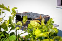Půdorys ubytování Villa Guadiana Golf