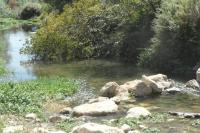 Půdorys ubytování V Turistica en plena naturaleza a 30 kms de Granada