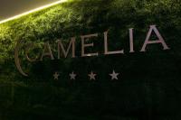 Certifikát, ocenenie alebo iný dokument vystavený v ubytovaní Hotel Camelia