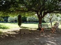 a park with two benches under a tree at Le Mas du Lac in Saint-Rémy-de-Provence