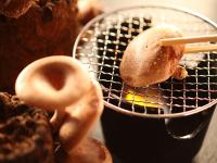 Fotografie z fotogalerie ubytování Ryokan Biyunoyado v destinaci Jamanouči