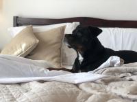 Posteľ alebo postele v izbe v ubytovaní Villa Lavinia B&B