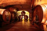 Plán poschodí v ubytovaní Cascina Pugnane