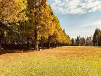 &#x6085;&#x4F86;&#x5C45;&#x838A;&#x5712; &#x5BA4;&#x5916;&#x82B1;&#x5712;