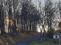 a dirt road with trees and a house on a hill at Ferienhaus Renate in Straden