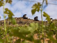 a group of cabins on a hill in a field at Encuentro Guadalupe in Valle de Guadalupe