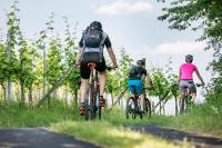 Fietsen bij of in de buurt van Weingarten &amp; Appartement Auszeit - Therme Loipersdorf