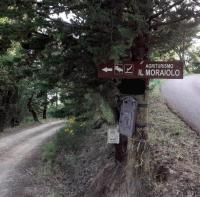 Príroda v okolí dovolenkového domu