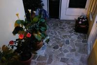 A garden outside George Studio