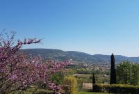 a tree with pink flowers on a hill with mountains in the background at Villa Manoe in Draguignan
