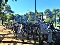 Jazda na bicykli v okolí ubytovania West Coast Mobilhome with XXL Terrace