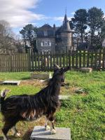 Gallery image of Chambres d&#39;hôtes Manoir Ker-Huella in Morlaix