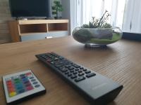 TV a/nebo společenská místnost v ubytování Apartment Asgard
