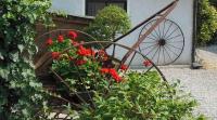 A garden outside Al Pic de Corone