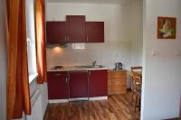 Kuchyň nebo kuchyňský kout v ubytování Apartmány Alpský Dům